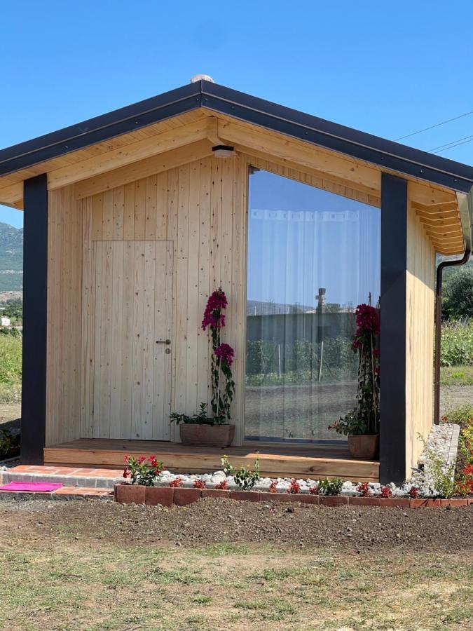 Fishta Guesthouse - Mrizi I Zanave Fishte Zewnętrze zdjęcie