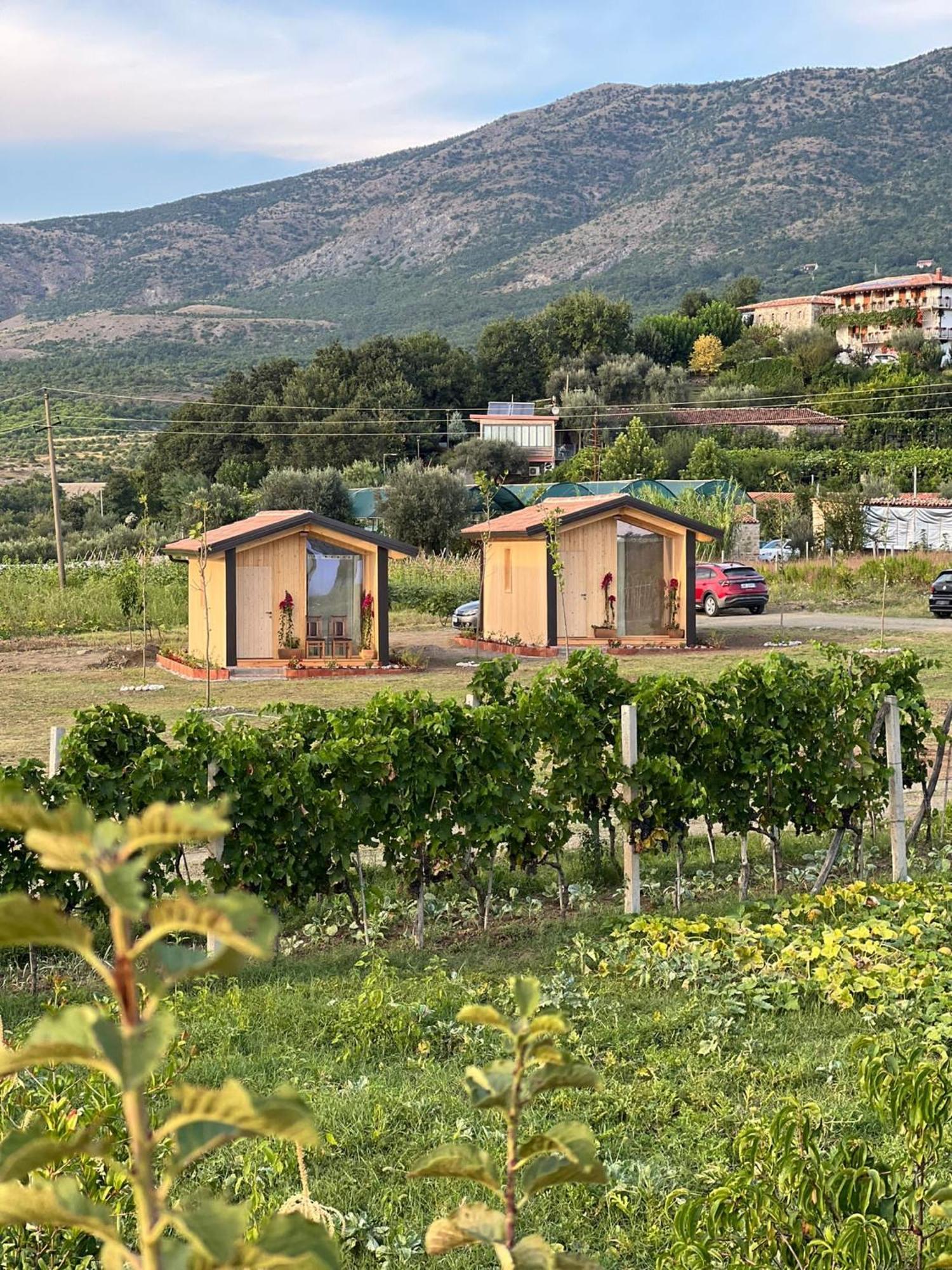Fishta Guesthouse - Mrizi I Zanave Fishte Zewnętrze zdjęcie