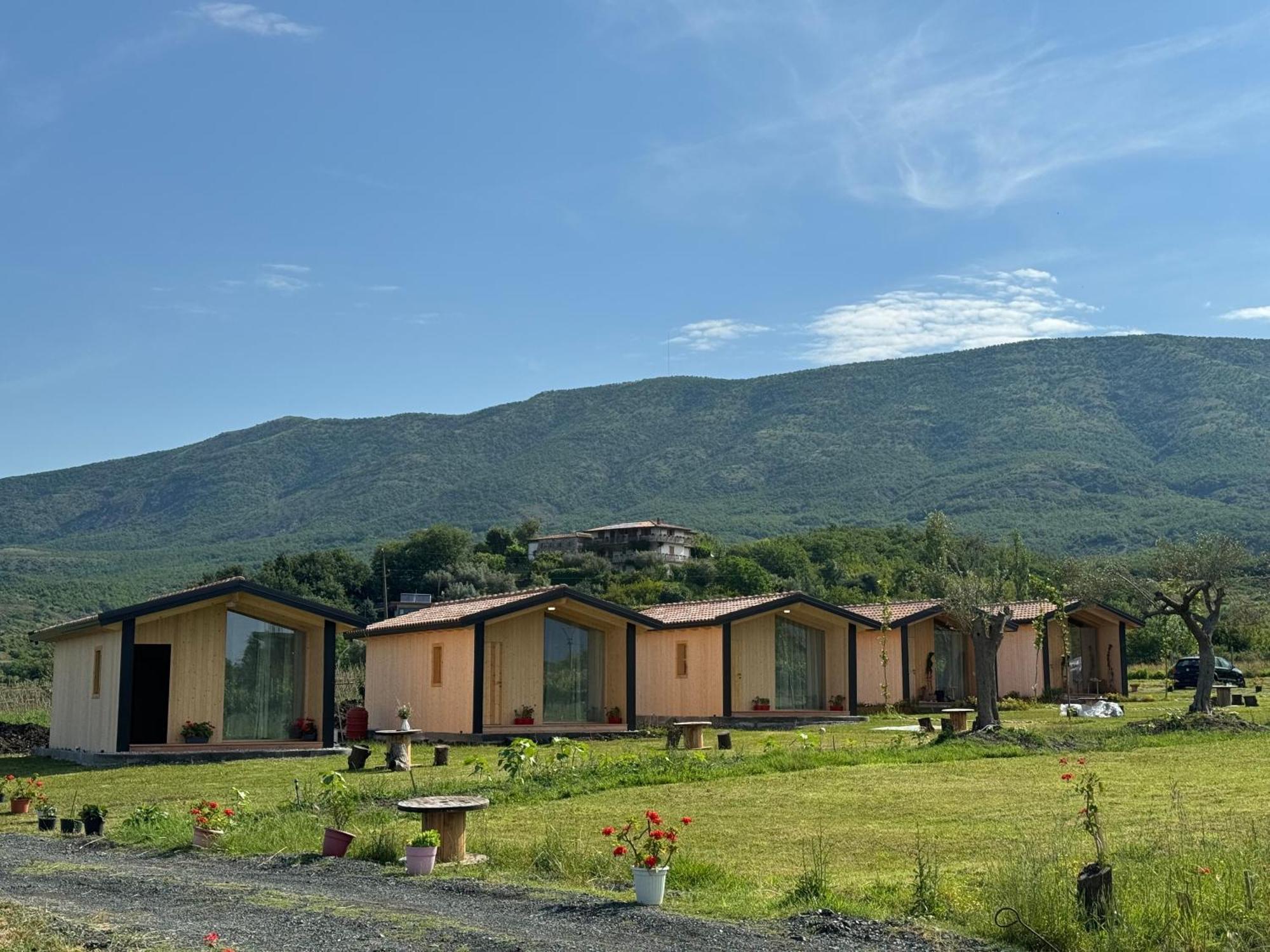 Fishta Guesthouse - Mrizi I Zanave Fishte Zewnętrze zdjęcie