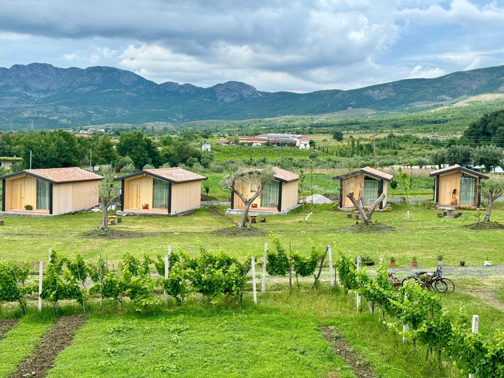 Fishta Guesthouse - Mrizi I Zanave Fishte Zewnętrze zdjęcie