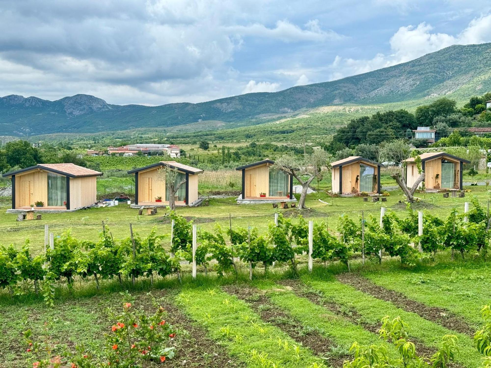Fishta Guesthouse - Mrizi I Zanave Fishte Zewnętrze zdjęcie