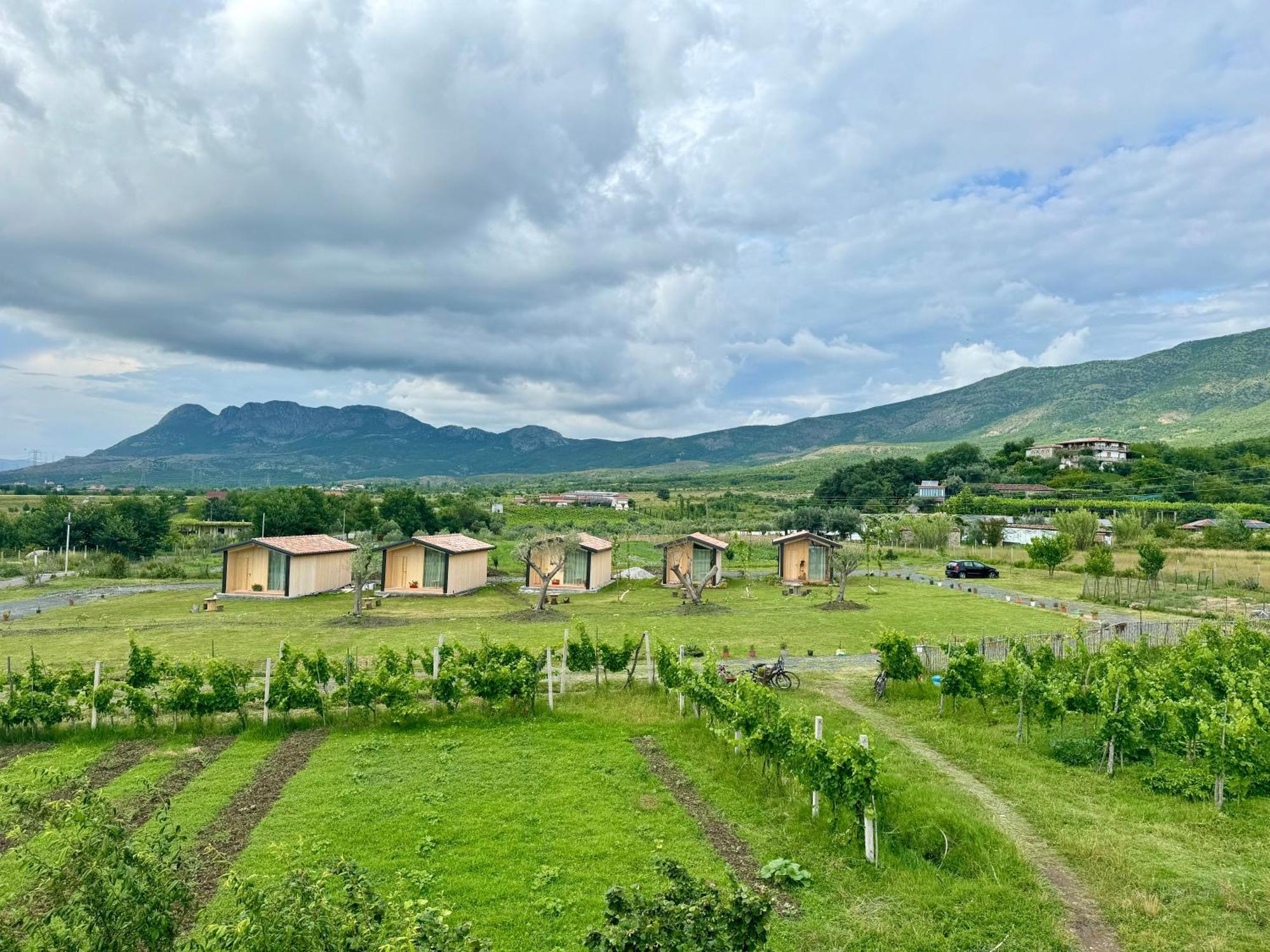 Fishta Guesthouse - Mrizi I Zanave Fishte Zewnętrze zdjęcie